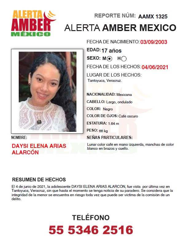 DAYSI ELENA ARIAS ALARCÓN (VER)