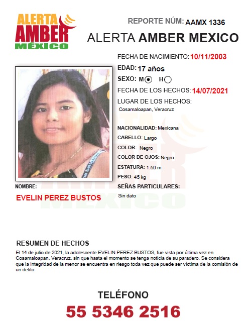 EVELIN PÉREZ BUSTOS (VER)