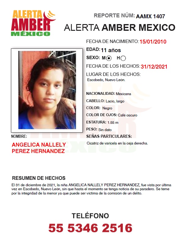 ANGÉLICA NALLELY PÉREZ HERNÁNDEZ