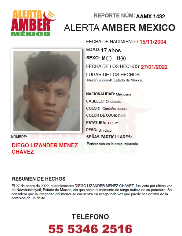 DIEGO LIZANDER MENEZ CHÁVEZ