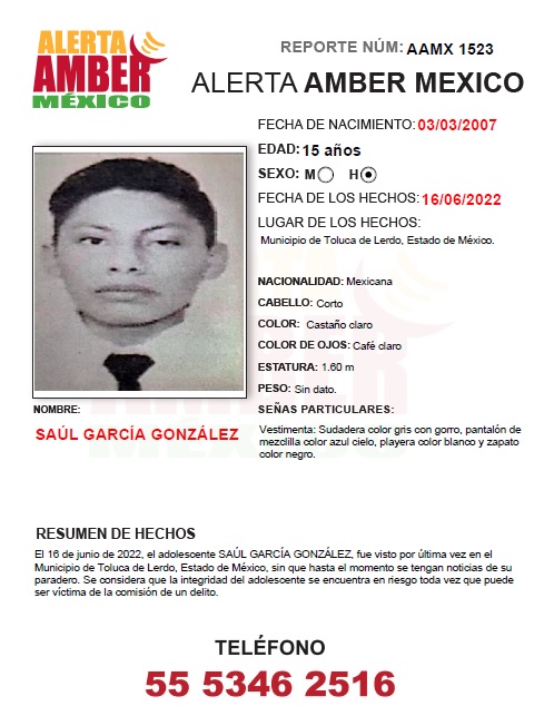 SAÚL GARCÍA GONZÁLEZ