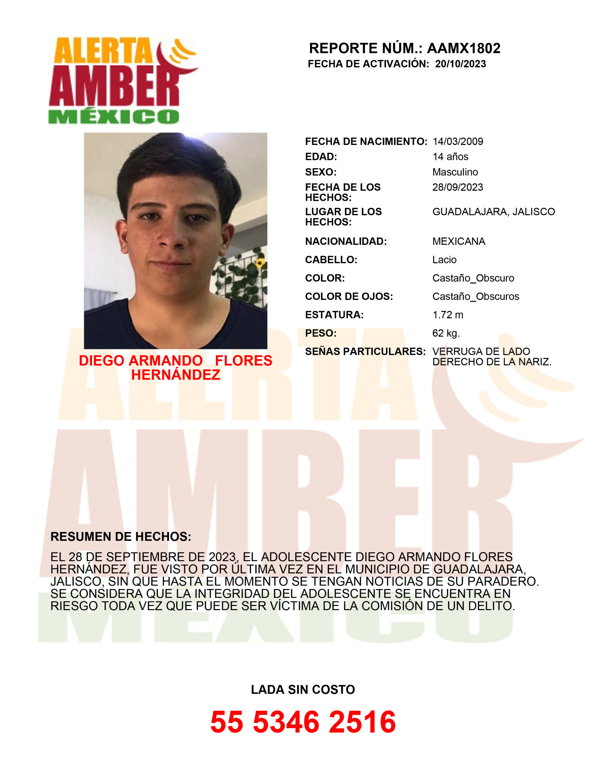 DIEGO ARMANDO FLORES HERNÁNDEZ (JAL)