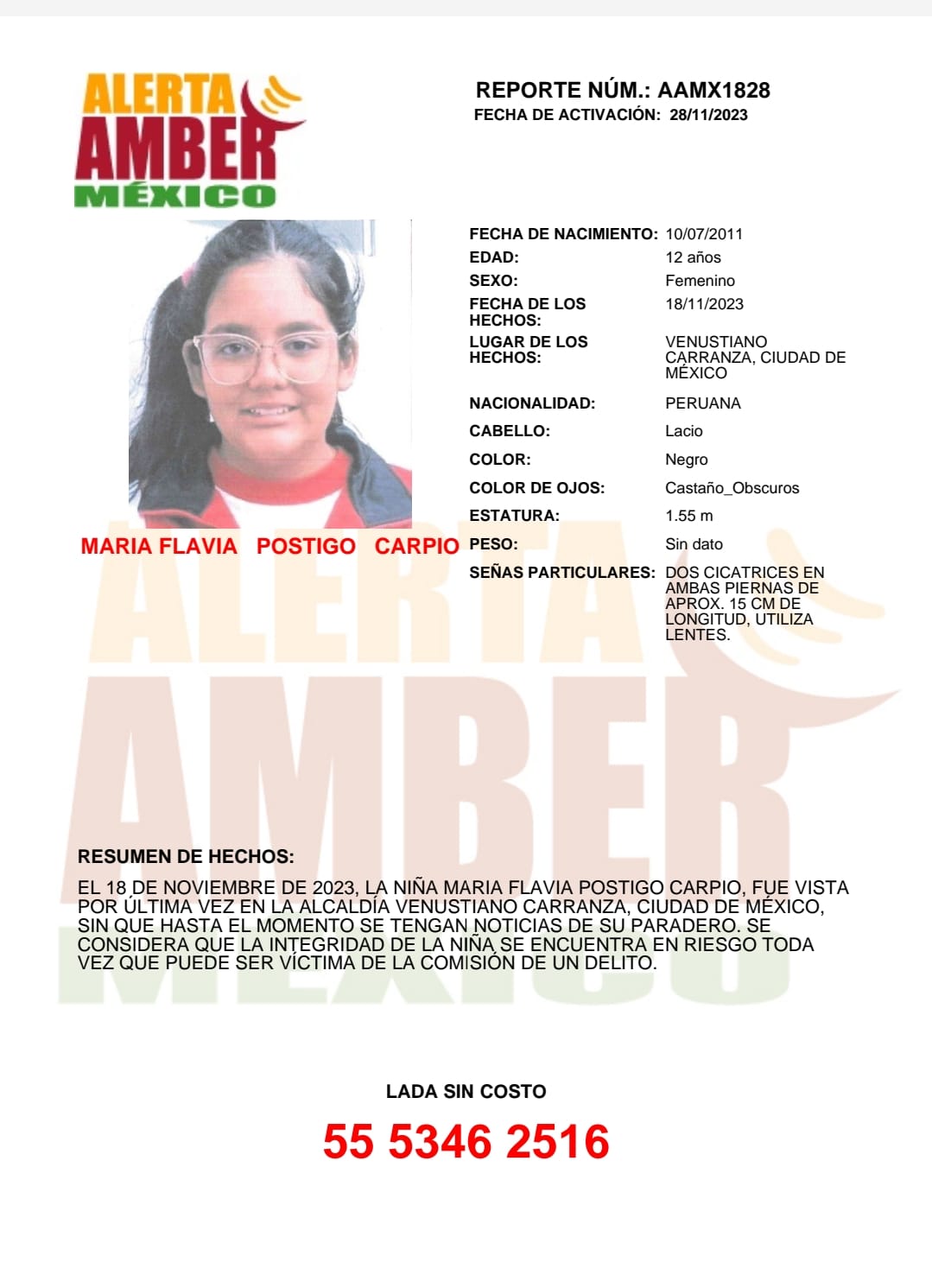 MARÍA FLAVIA POSTIGO CARPIO