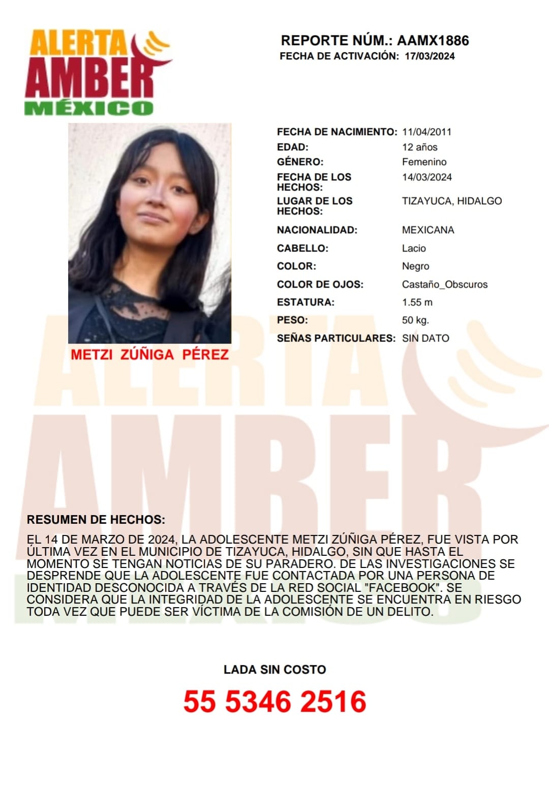 Metzi Zúñiga Pérez (Hgo.)