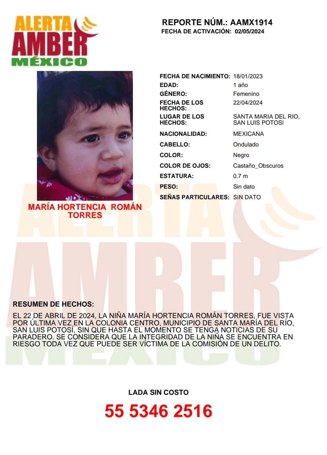 MARÍA HORTENCIA ROMÁN TORRES (SLP)