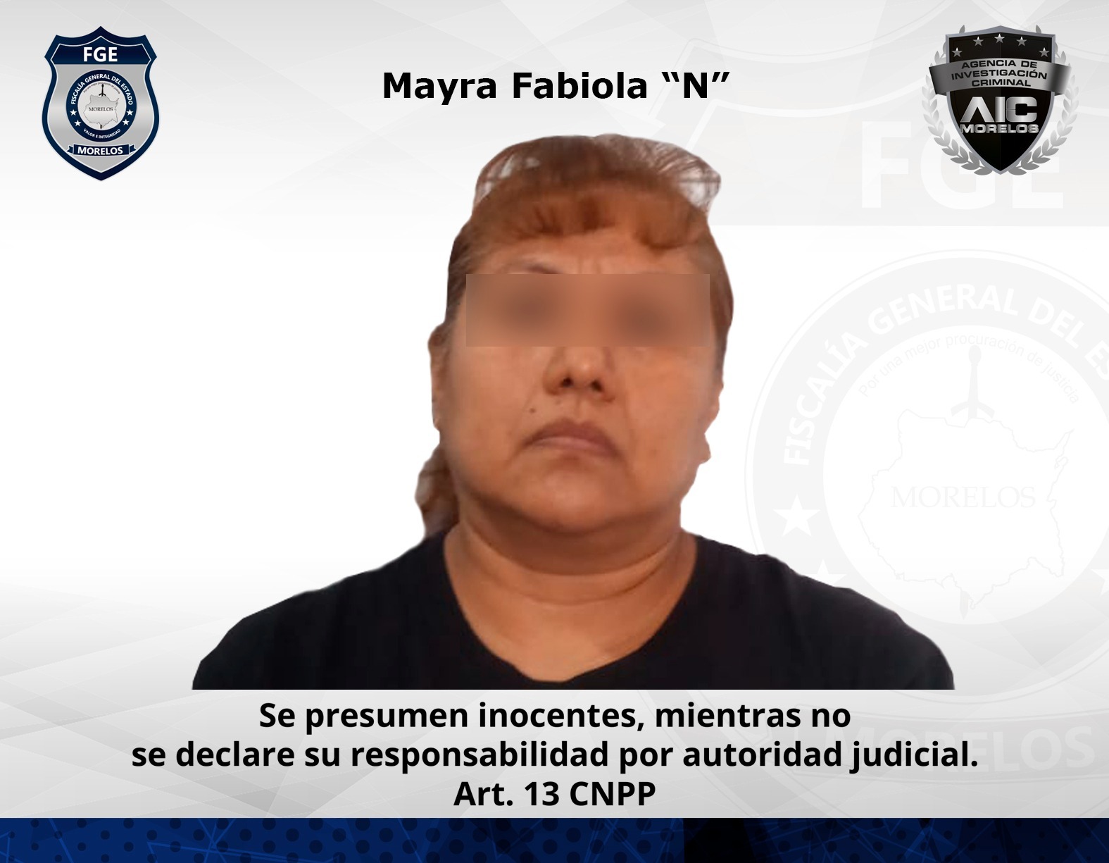 AIC cumplimenta aprehensión contra mujer por daños dolosos