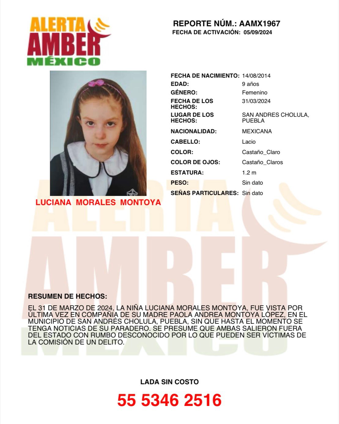 LUCIANA MORALES MONTOYA