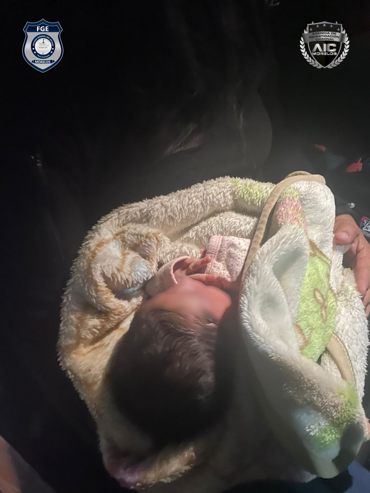 Comunicado de Prensa